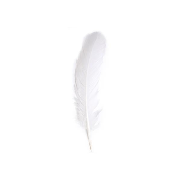 White Turkey Plumage Feather