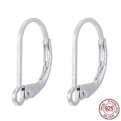 Sterling Silver Lever Back Earrings - 1 Pair