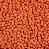 8/0 Czech Seed Beads #065 Permalux Matte Orange 22g