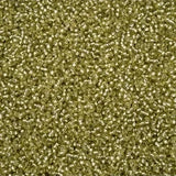 11/0 Czech Seed Beads #43293 Silver Lined Avocado Solgel 23g