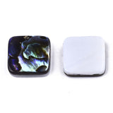 Shell Cabochons, Natural Abalone Square 10mm 2/pk