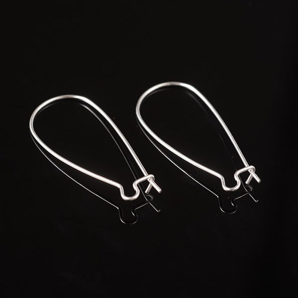 Fish earring hook (22mm) - gold (nickel free) - Gold - Hooks - Earring  Fittings - The Bead Hold