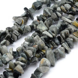 Hawks / Eagle Eye (Natural) Bead Chips 33" Strand