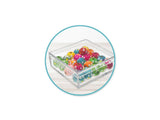 2" Mini Plastic Containers 4/pk