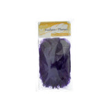 Goose Feathers Purple 6g