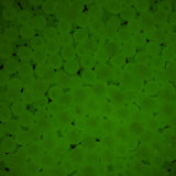 4mm Round Glow In The Dark Plastic Beads 1000/pk