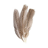 Guinea Fowl Quills Natural 10/pk