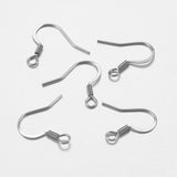 Stainless Steel Fish Hook Earrings 10/pk