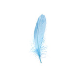 Goose Feathers Turquoise 6g