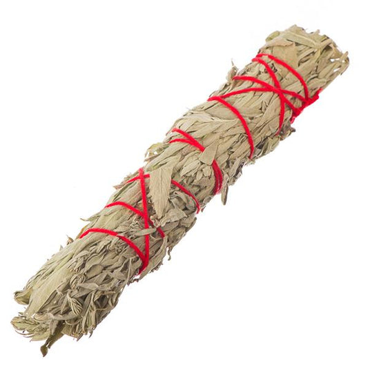 8" Grandfather Sage Smudge Stick 1/pk