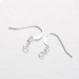 Silver Fish Hook Earrings 10/pk