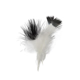 Marabou Feathers Two Tone Black 6g