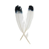 Turkey Feathers Black "Eagle" 6/pk