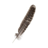 Turkey Feathers Barred Natural 2/pk