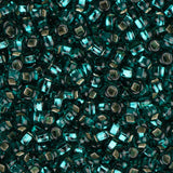 10/0 Czech Seed Beads #027 Silver Lined Teal 22g