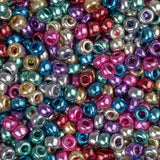 10/0 Czech Seed Beads #069 Metallic Mix 22g