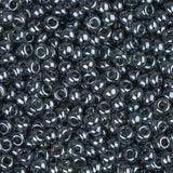 10/0 Czech Seed Beads #095 Tr Black Diamond Luster 22g