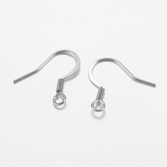 Stainless Steel Fish Hook Earrings 10/pk