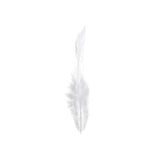 Rooster Saddle Hackle Feathers White 3g