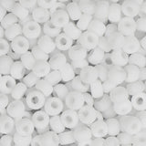 8/0 Miyuki Seed Beads #0402F Opaque Matte 22g