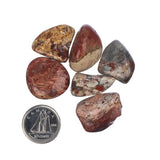 Jasper Brecciated Tumbled Stone - Each