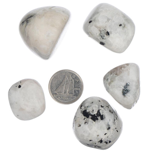 Rainbow Moonstone Tumbled Stone - Each