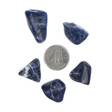 Sodalite Tumbled Stone - Each